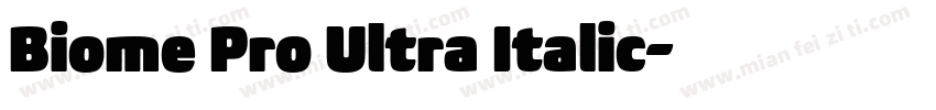 Biome Pro Ultra Italic字体转换